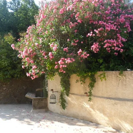 Jour Apres Jour Au Mas D'alzas D Hotes Et Gite Serviers-et-Labaume